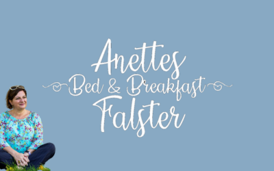 Hvorfor kom det til at hedde Anettes B&B Falster? Guiden til det rigtige navn