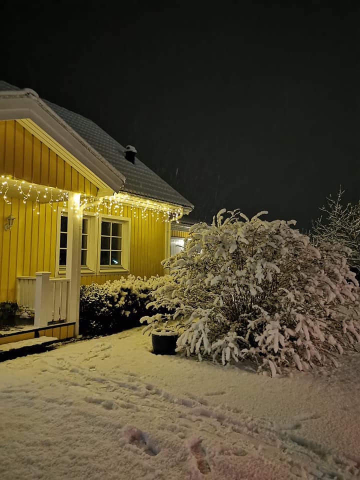 Julesne på Anettes B&B 2021